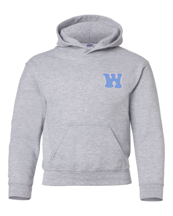 We are Washington School - Hooded Sweatshirt - Grey